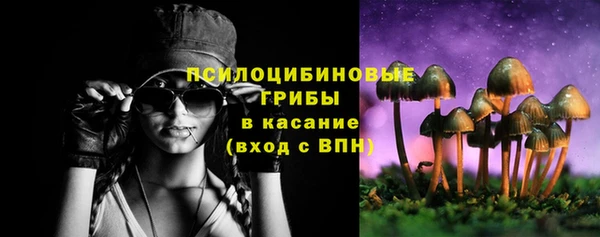 a pvp Алексин
