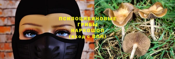 a pvp Алексин